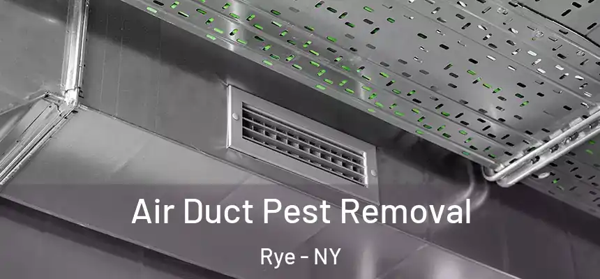  Air Duct Pest Removal Rye - NY