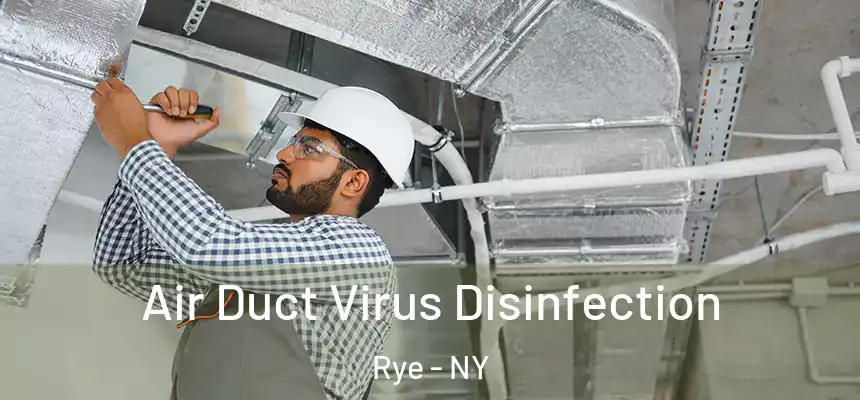  Air Duct Virus Disinfection Rye - NY
