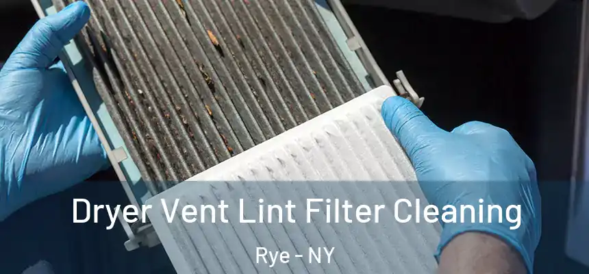  Dryer Vent Lint Filter Cleaning Rye - NY