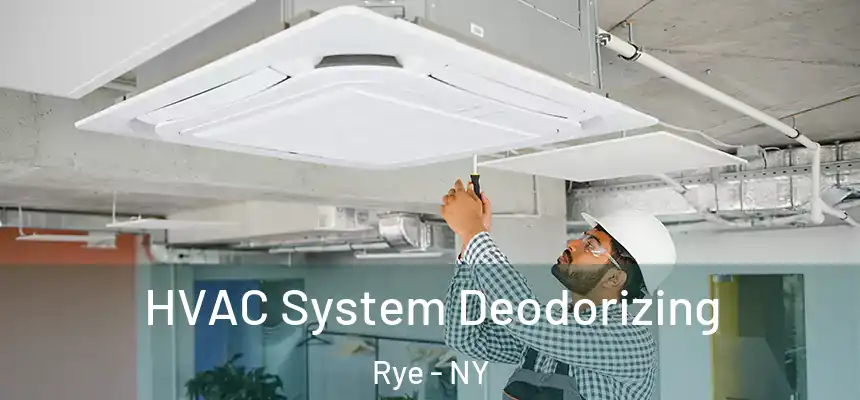  HVAC System Deodorizing Rye - NY