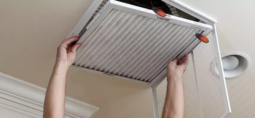 Preventive Cockroach-Proofing for Ducts in Rye