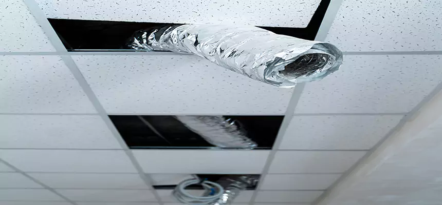 Our Air Duct Pet Hair Removal Services in Rye, NY