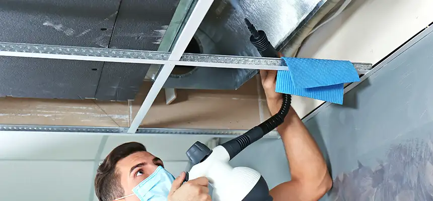 Our Air Duct Rodent Removal Services in Rye, NY