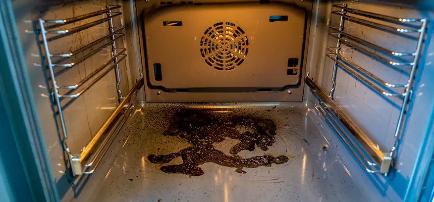 Our Dryer Vent Mold Cleaning Services in Rye, NY