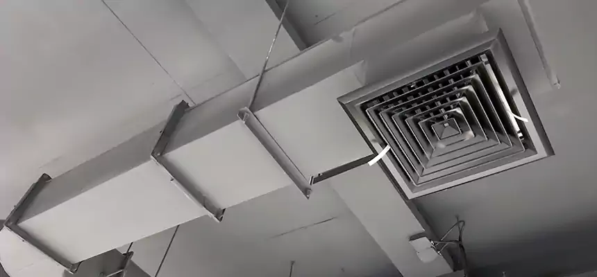 Our Pest Removal From Ducts Services in Rye, NY