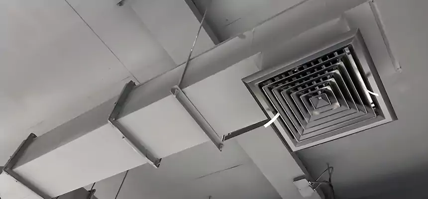 Our Rodent Droppings In Vents Services in Rye, NY