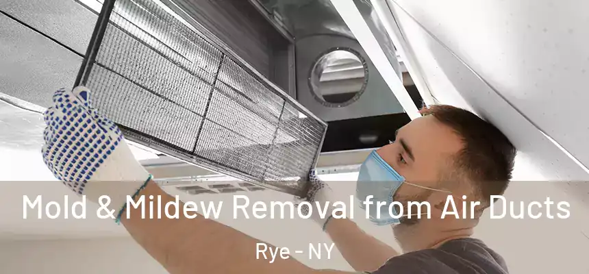  Mold & Mildew Removal from Air Ducts Rye - NY