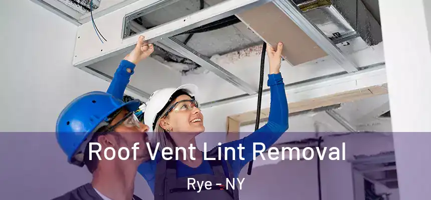  Roof Vent Lint Removal Rye - NY