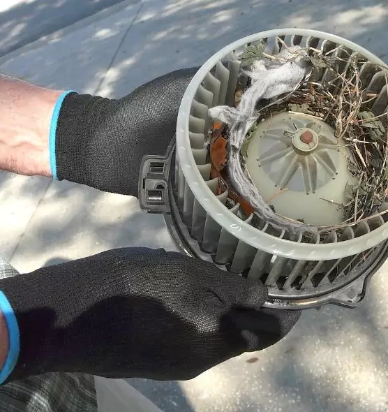 About Air Duct Mice Removal in Rye, NY