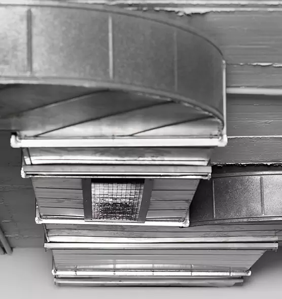 Professional Air Duct Pest Removal in Rye, NY