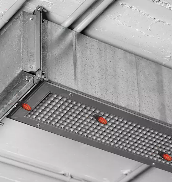 Affordable Insect Removal from Air Ducts in Rye, NY