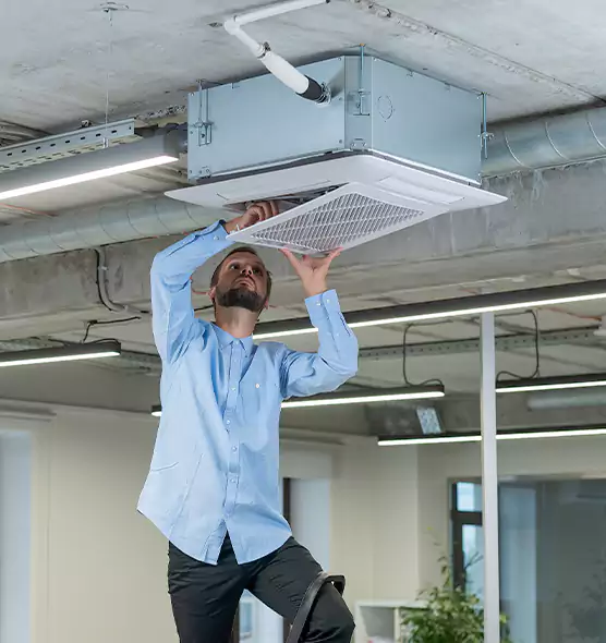Advanced Rodent Droppings In Vents in Rye, NY