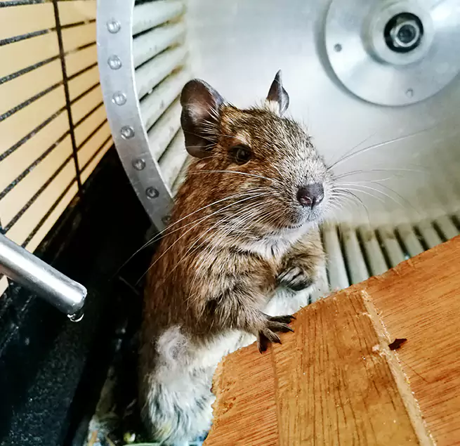 Why Homeowners & Businesses Trust Us Rye, NY