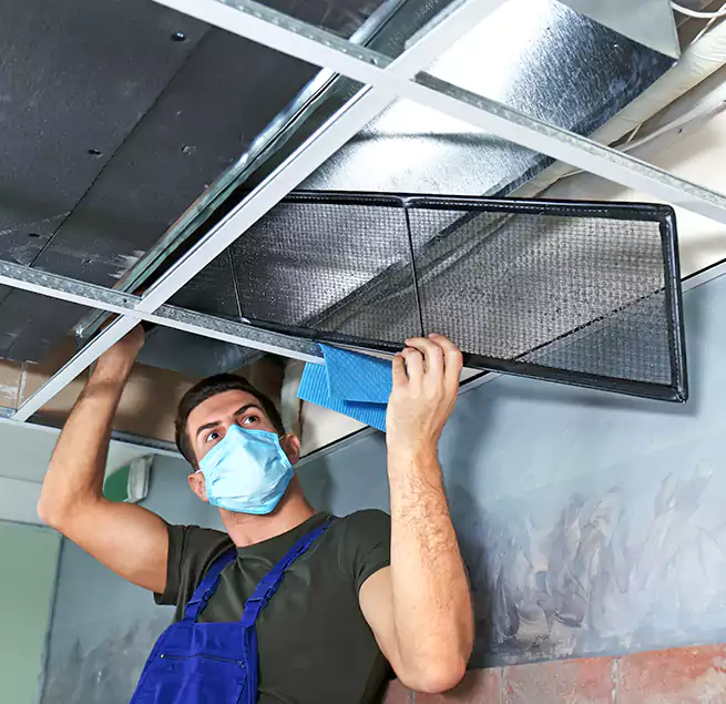 Why Homeowners Businesses Trust Us in Rye, NY