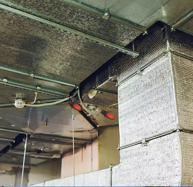 Why Homeowners & Businesses Trust Us Rye, NY?