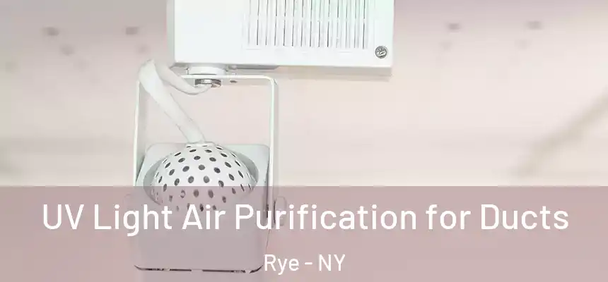  UV Light Air Purification for Ducts Rye - NY